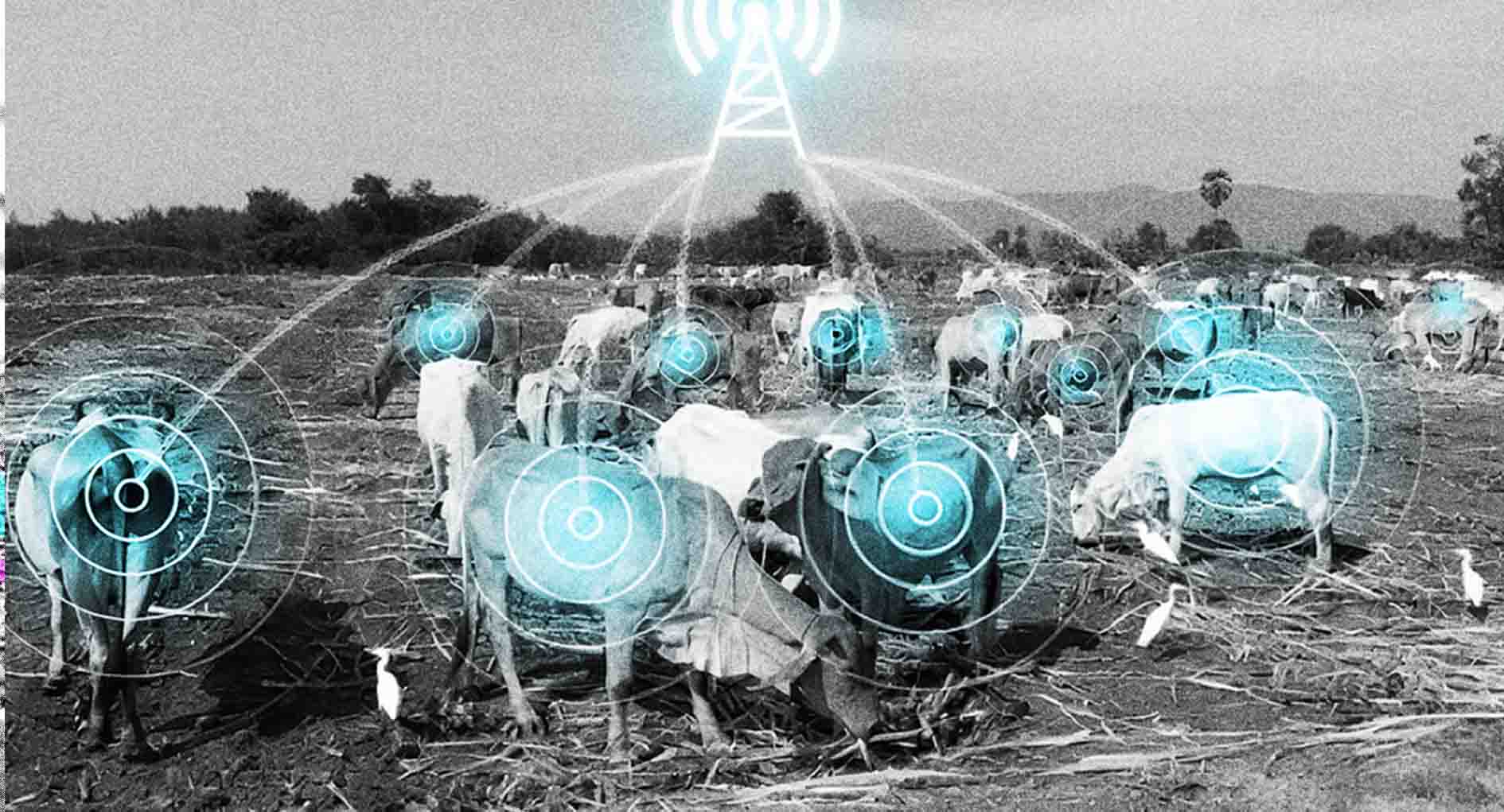عمر باتری iot